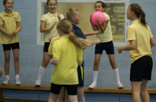 Year 5 Primary Sports Festival