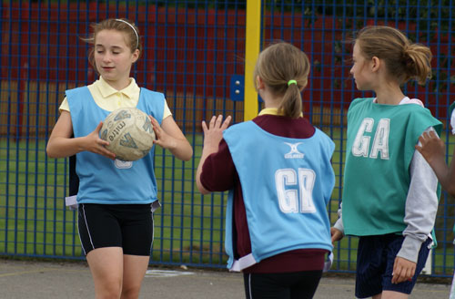 Year 5 Primary Sports Festival