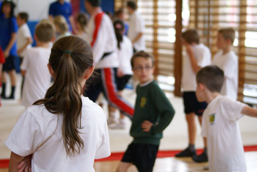 Year 5 Primary Sports Festival